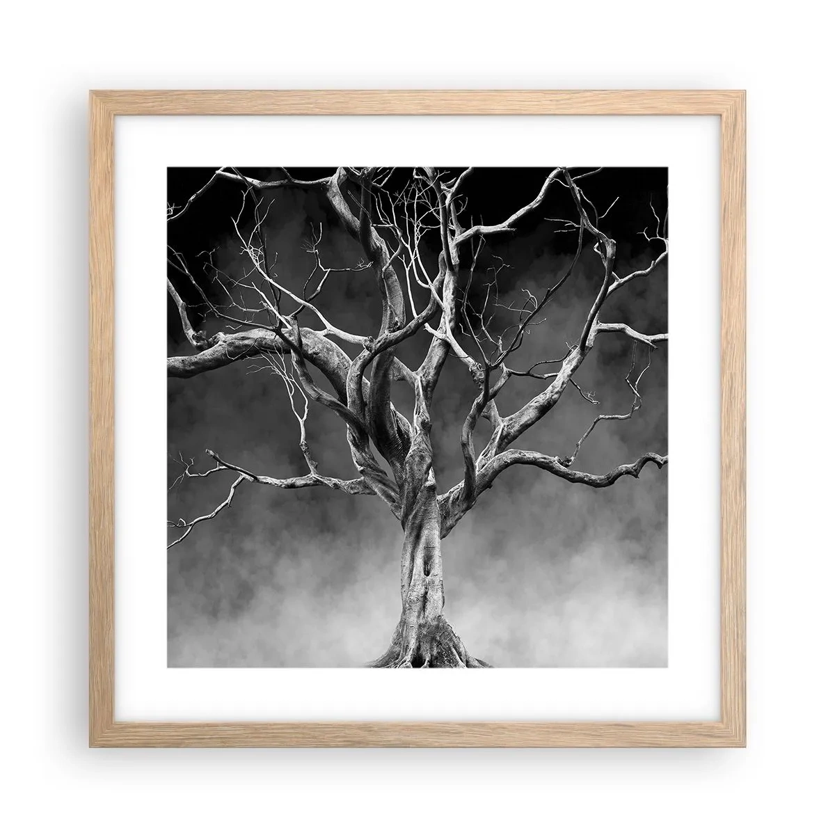 Plakat w ramie jasny dąb - Pierwotne i święte - 40x40 cm