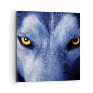 Obraz na płótnie - Hipnotyzujące spojrzenie - 70x70 cm