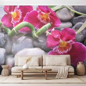 Fototapeta Premium Sand - Chłód i żar - Kwiaty, Kamienie, Storczyk - 400x280 cm