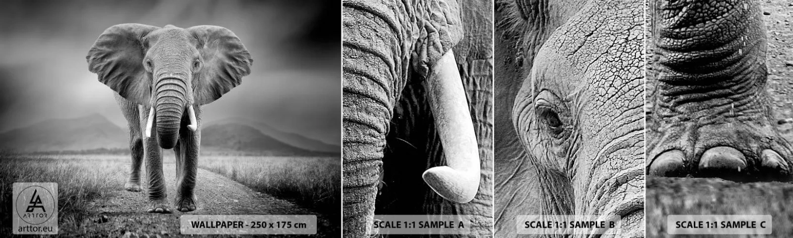 Fototapeta Próbka Samoprzylepna Deluxe Sticker - Gospodarz wita - Słoń, Zwierzęta, Krajobraz - 100x30 cm