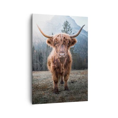 Obraz na płótnie - Włochata krowa szkocka Highland stojąca na łące z górskim tłem - 70x100cm - Pozdrowienia z górskiej łąki - Nowoczesna dekoracja ścienna do salonu i sypialni ARTTOR