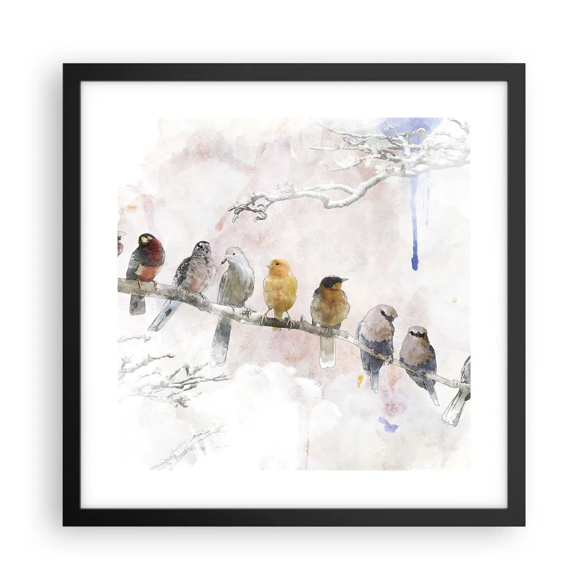 Plakat w czarnej ramie - Skrzydlate spotkanie - 40x40 cm