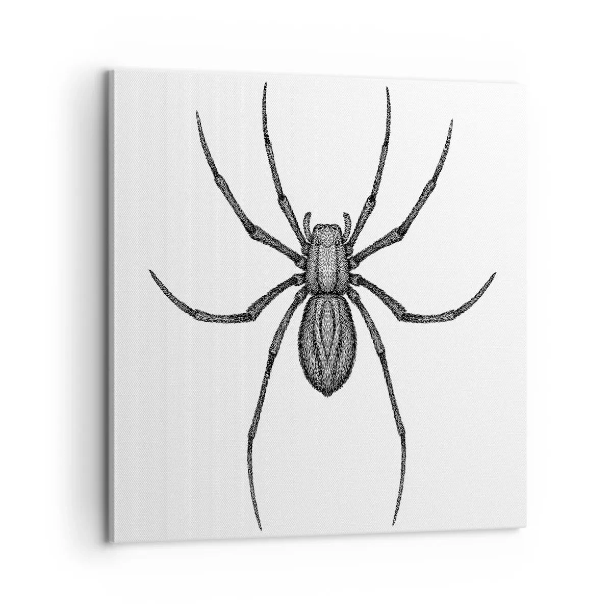 Obraz na płótnie - Niepokojąca precyzja - 60x60 cm