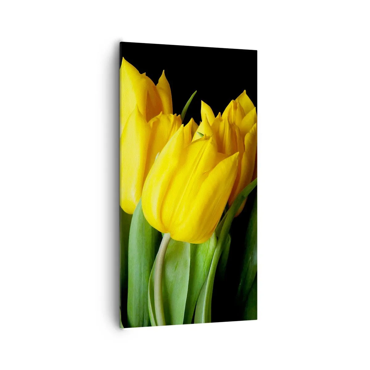 Obraz na płótnie - Powstały z czystego słońca - 65x120 cm