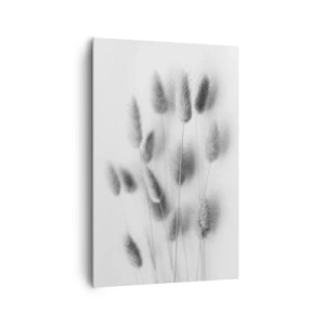Obraz na płótnie - Delikatne trawy w odcieniach szarości na białym tle - 80x120cm - Jej puszystość trawa - Nowoczesna dekoracja ścienna do salonu i sypialni ARTTOR