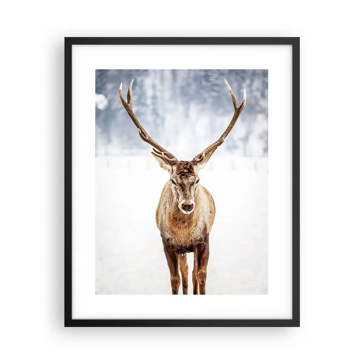 Plakat w czarnej ramie - Prosto ze śnieżnej mgły - 40x50 cm