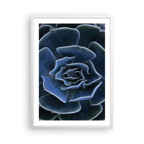Plakat w białej ramie - Kwiat pustyni - 50x70 cm
