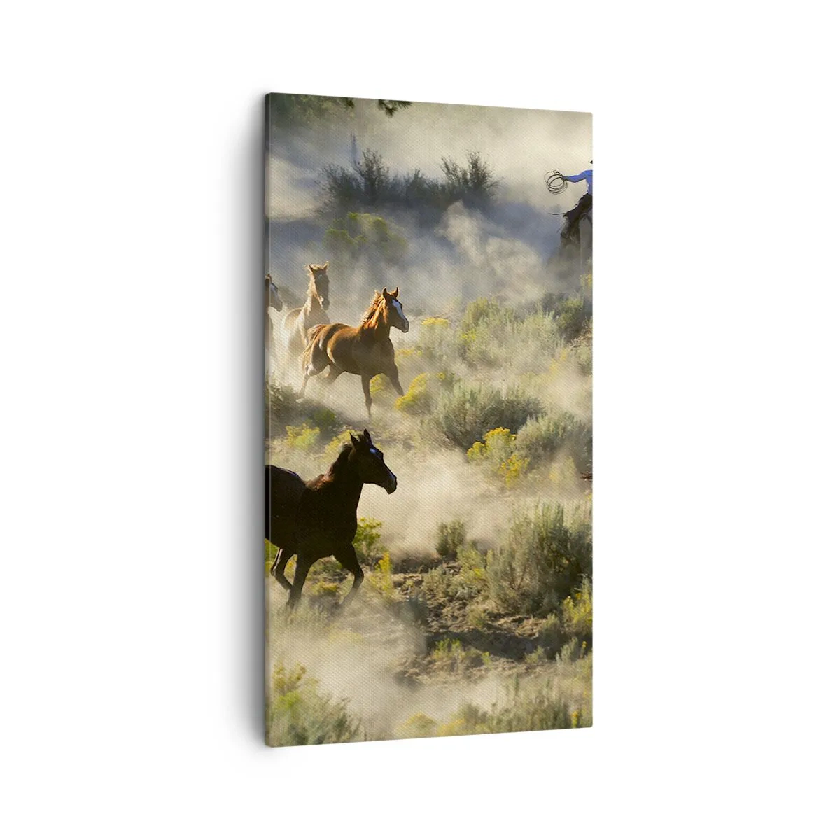 Obraz na płótnie - Rywalizacja - wolność czy męska siła? - 45x80 cm