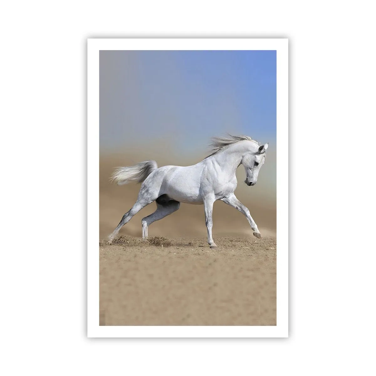 Plakat - Najpiękniejsza arabska baśń - 61x91 cm
