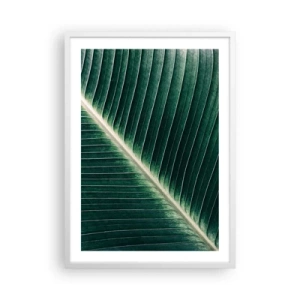 Plakat w białej ramie - Rytm natury - 50x70 cm