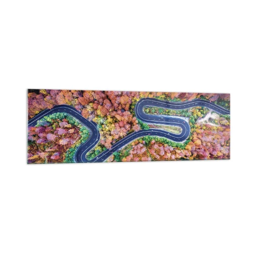 Obraz na szkle - Kręta droga w jesiennym lesie widziana z lotu ptaka - 160x50cm - Krętą drogą poprzez las - Nowoczesna dekoracja ścienna do salonu i sypialni ARTTOR