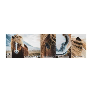 Fototapeta Próbka Samoprzylepna Deluxe Sticker - Czujesz wolność? - Koń, Natura, Zwierzęta - 100x30 cm