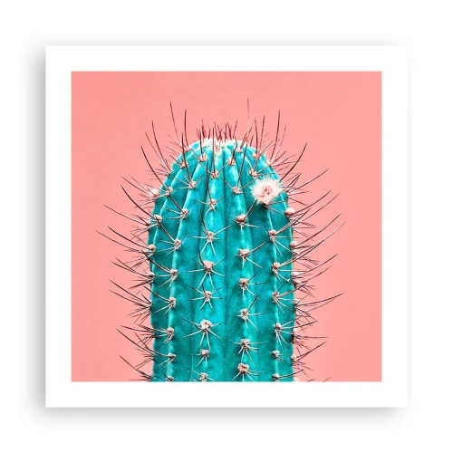 Plakat - Tylko patrz - 50x50 cm