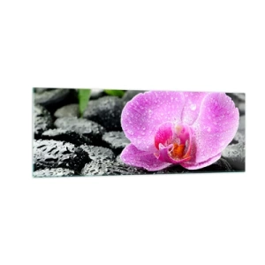 Obraz na szkle - Różowa orchidea na mokrych czarnych kamieniach z zielonymi liśćmi - 140x50cm - Jak otwarte serce - Nowoczesna dekoracja ścienna do salonu i sypialni ARTTOR