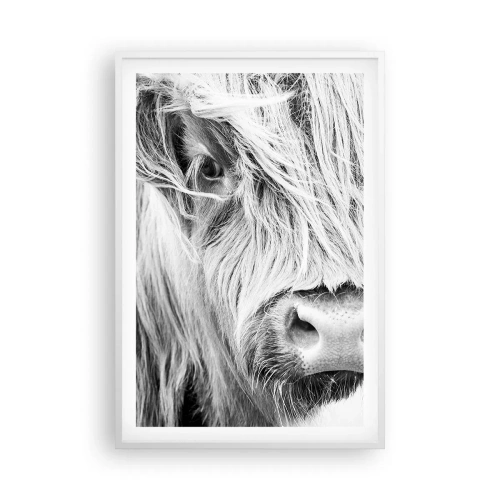 Plakat w białej ramie - Szkocka dzikość - 61x91 cm