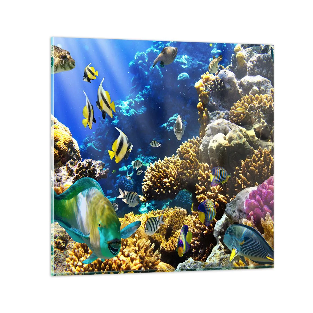 Obraz na szkle - Duży ruch na wakacyjnym szlaku - 40x40 cm