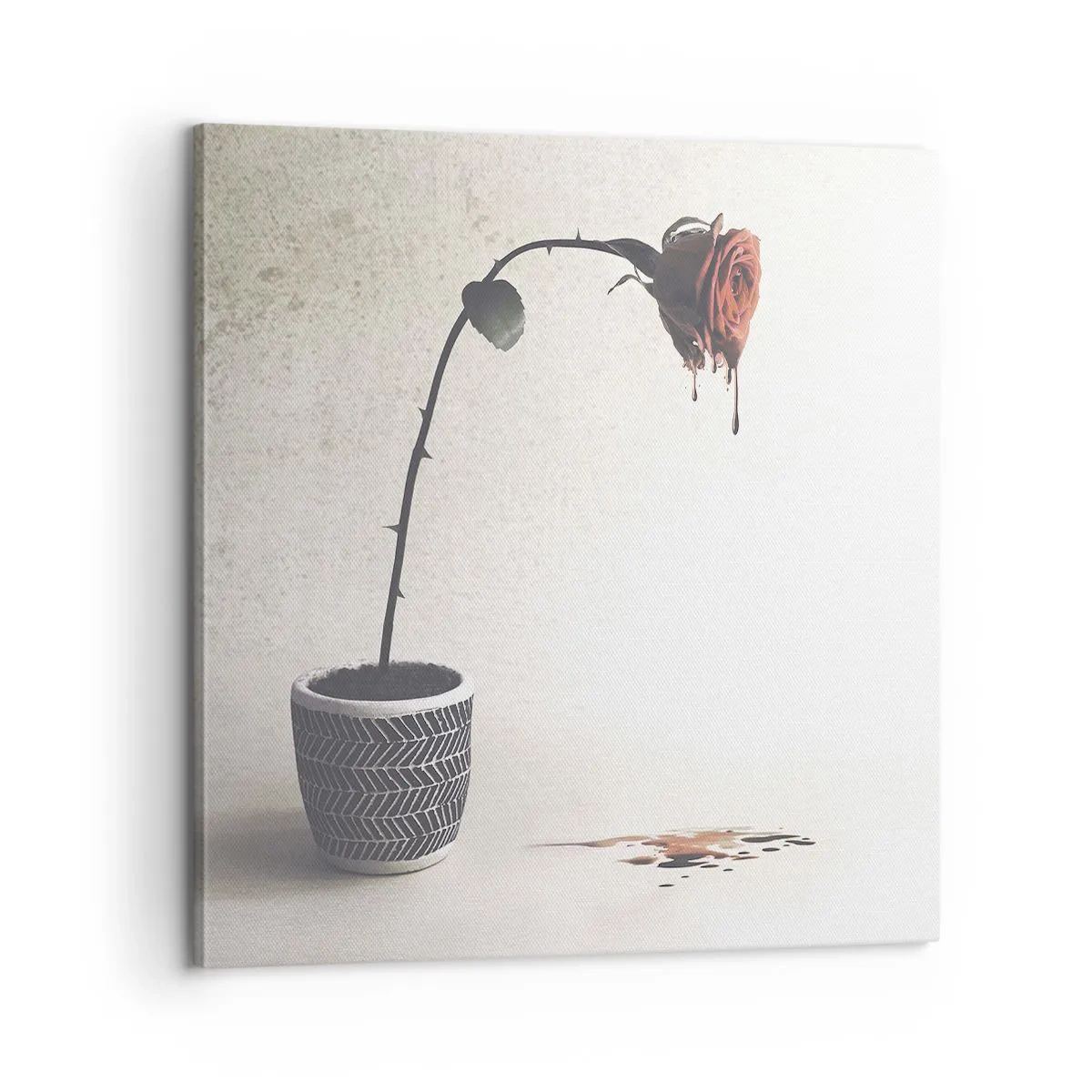 Obraz na płótnie - Rosa dolorosa - 60x60 cm