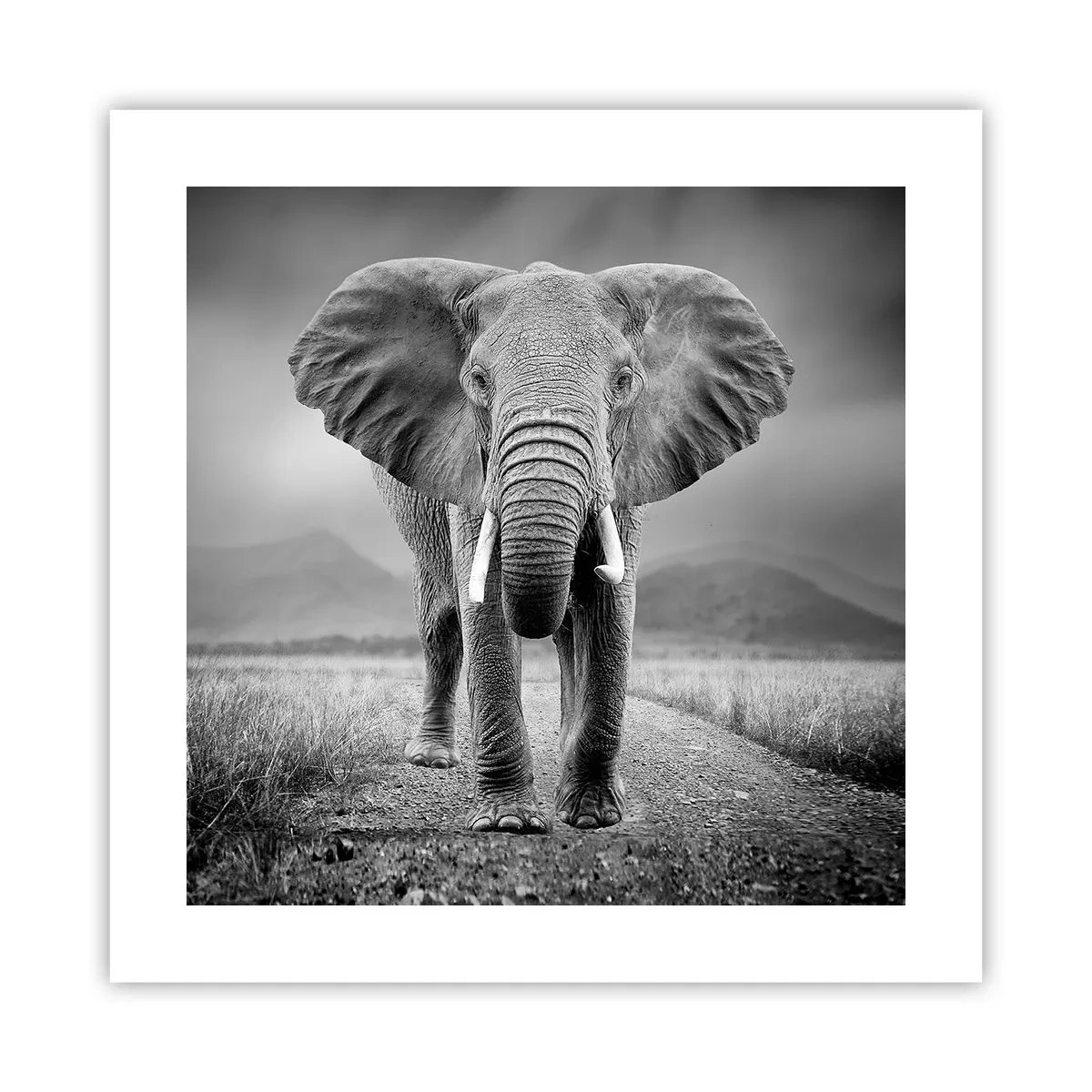 Plakat - Gospodarz wita - 40x40 cm