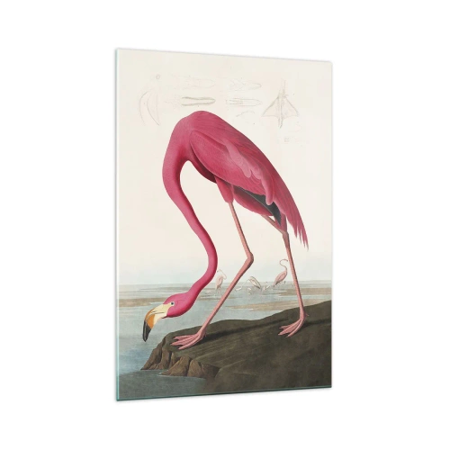 Obraz na szkle - Różowy flaming stojący na skale z pochyloną głową - 70x100cm - Zadziwiające stworzenie - Nowoczesna dekoracja ścienna do salonu i sypialni ARTTOR