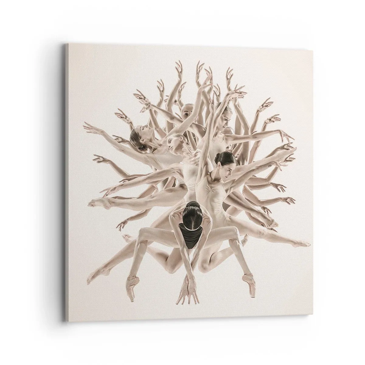 Obraz na płótnie - Rozkwitanie w tańcu - 70x70 cm