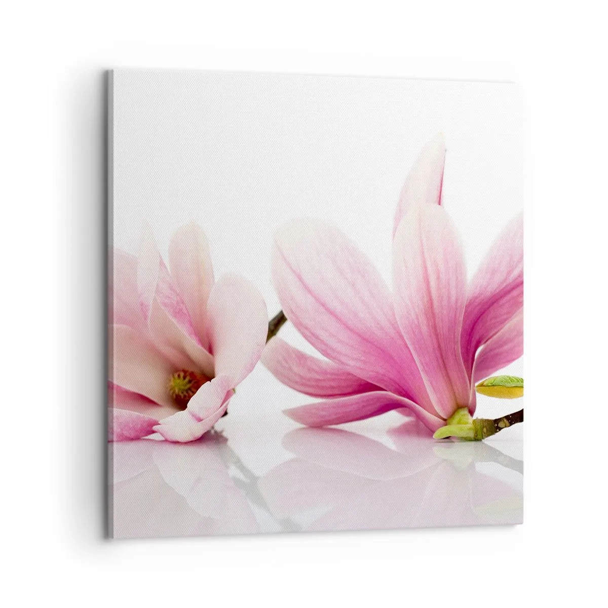 Obraz na płótnie - Delikatne jak powiew wiosny - 60x60 cm