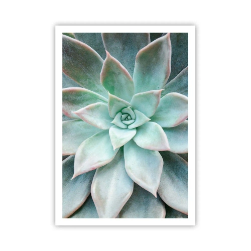 Plakat - Serce pustyni - 70x100 cm