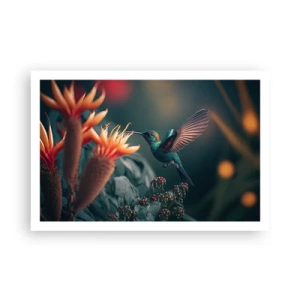 Plakat - naprawdę barwne życie - 91x61 cm