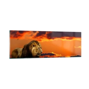 Obraz na szkle - Król natury - 90x30 cm