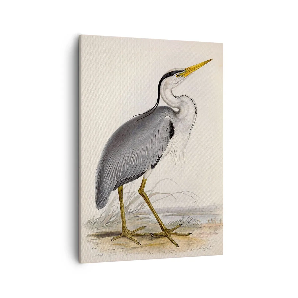 Obraz na płótnie - Elegancka ilustracja czapli stojącej na brzegu w delikatnych odcieniach - 50x70cm - Czapli wdzięk - Nowoczesna dekoracja ścienna do salonu, kuchni i sypialni ARTTOR