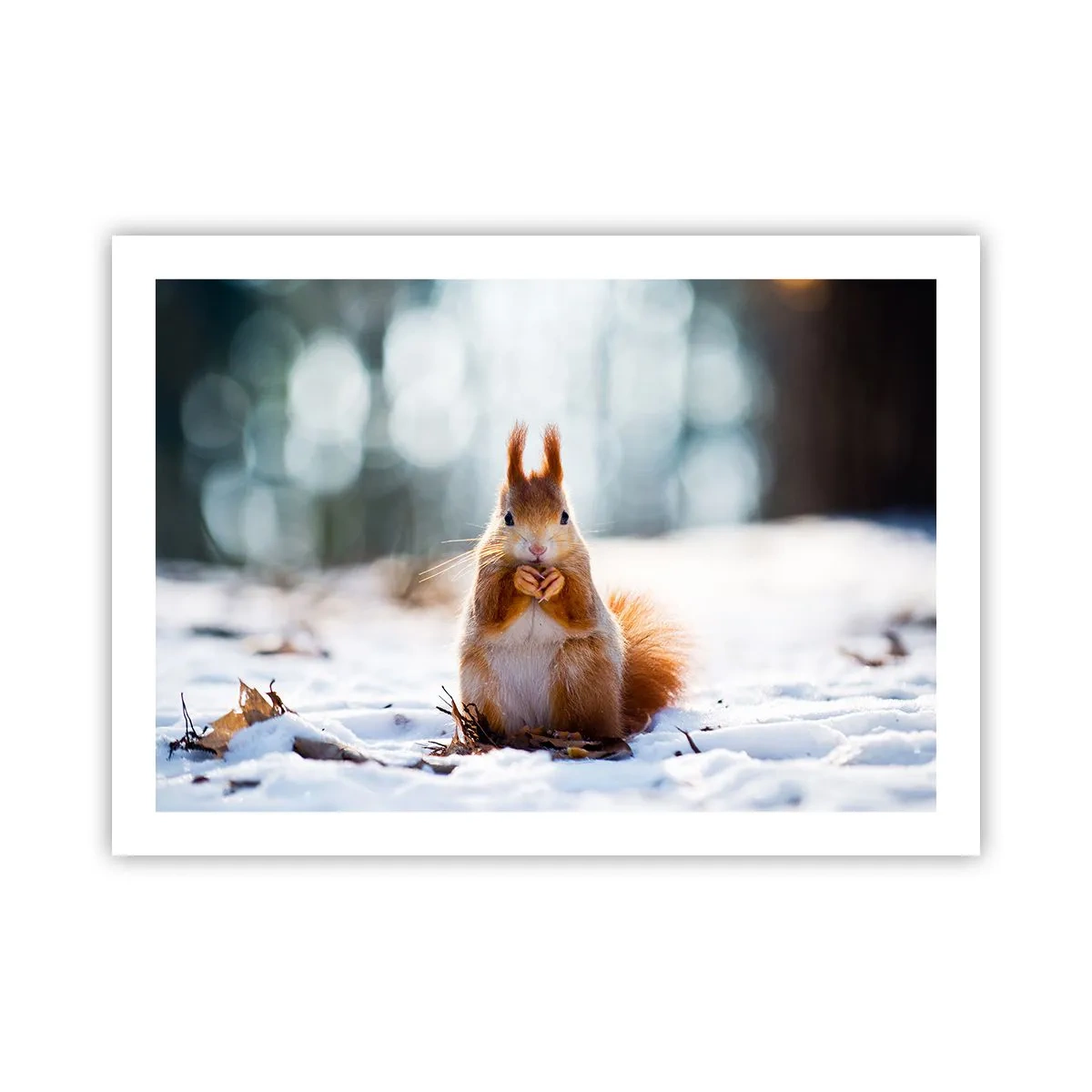 Plakat - I co tak patrzysz? - 70x50 cm