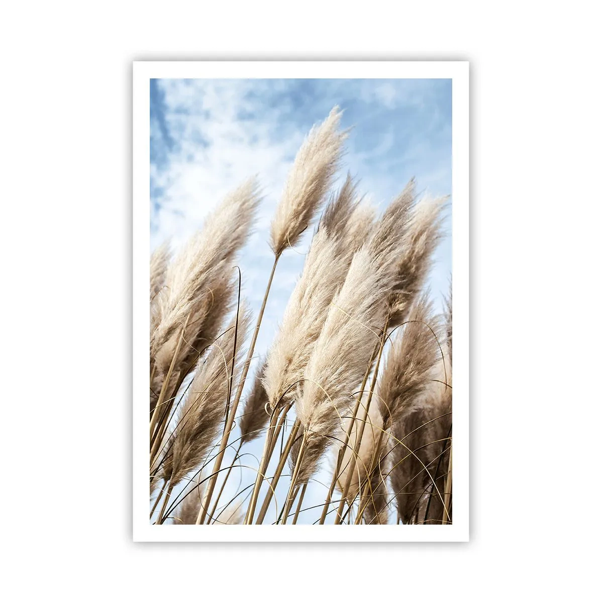 Plakat - Słoneczna i wietrzna pieszczota - 70x100 cm