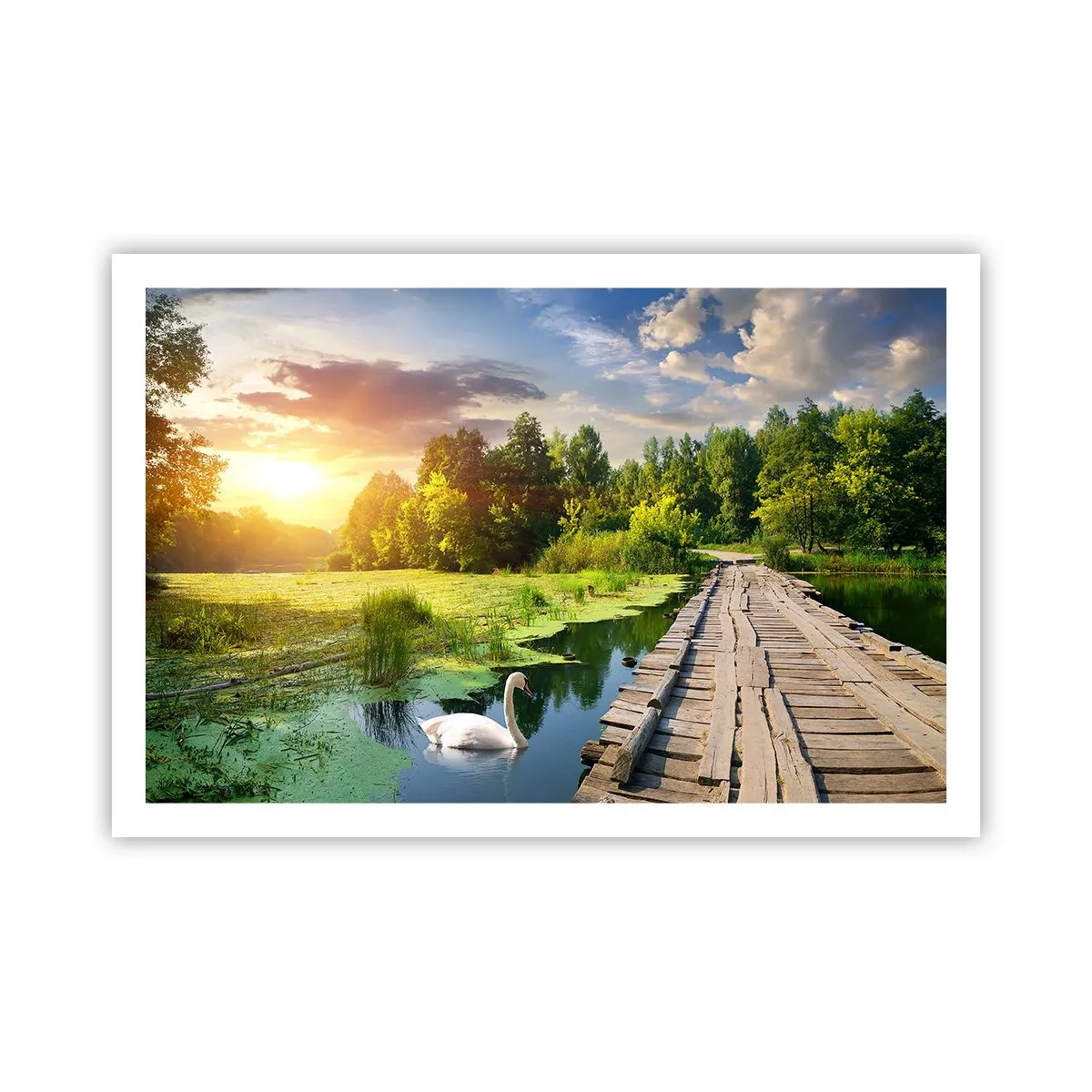 Plakat - Lato, lato wszędzie - 91x61 cm