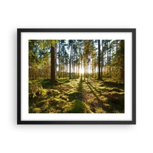 Plakat w czarnej ramie - …Za siedmioma lasami - 50x40 cm