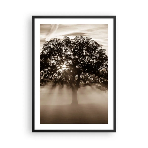 Plakat w czarnej ramie - Drzewo w mgle z promieniami światła - 50x70cm - Drzewo wiadomości samego dobrego - Nowoczesna dekoracja ścienna do salonu i sypialni ARTTOR