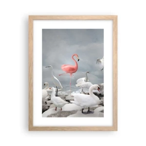 Plakat w ramie jasny dąb - Skąd się tu wziąłem? - 30x40 cm