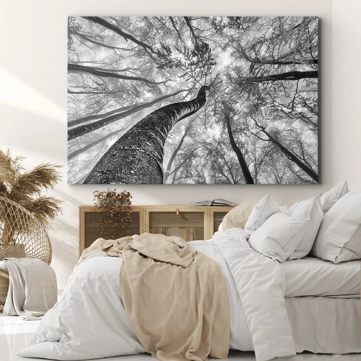 Obraz na płótnie - Perspektywa drzew w lesie widzianych od dołu w odcieniach szarości - 70x50cm - Wyścig do światła - Nowoczesna dekoracja ścienna do salonu i sypialni ARTTOR