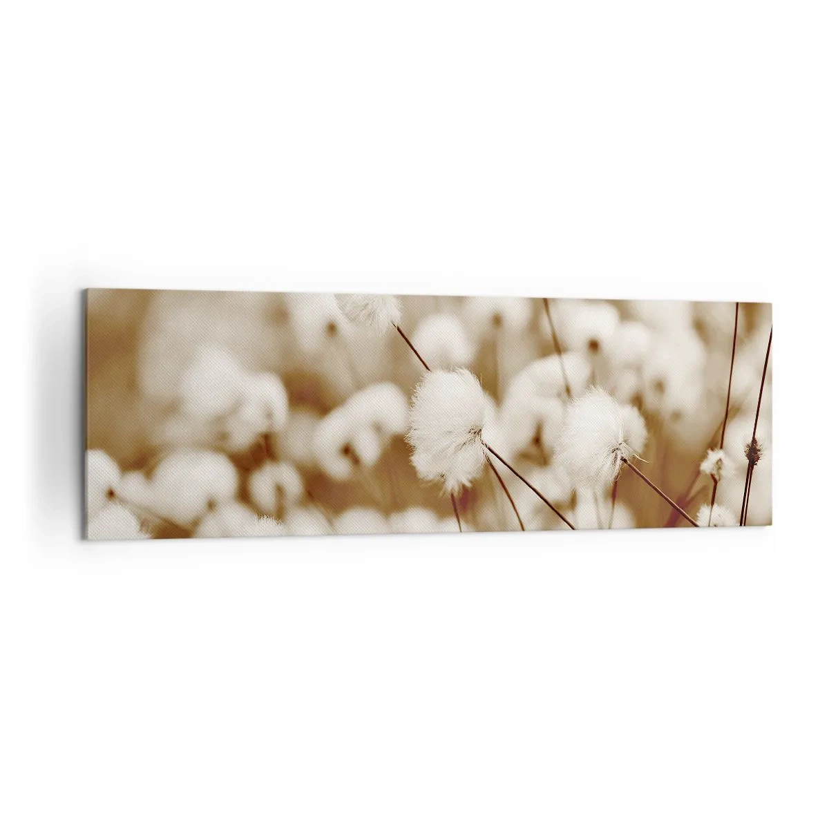 Obraz na płótnie - Pole delikatnych roślin w odcieniach sepia - 160x50cm - Puszysty łan - Nowoczesna dekoracja ścienna do salonu i sypialni ARTTOR