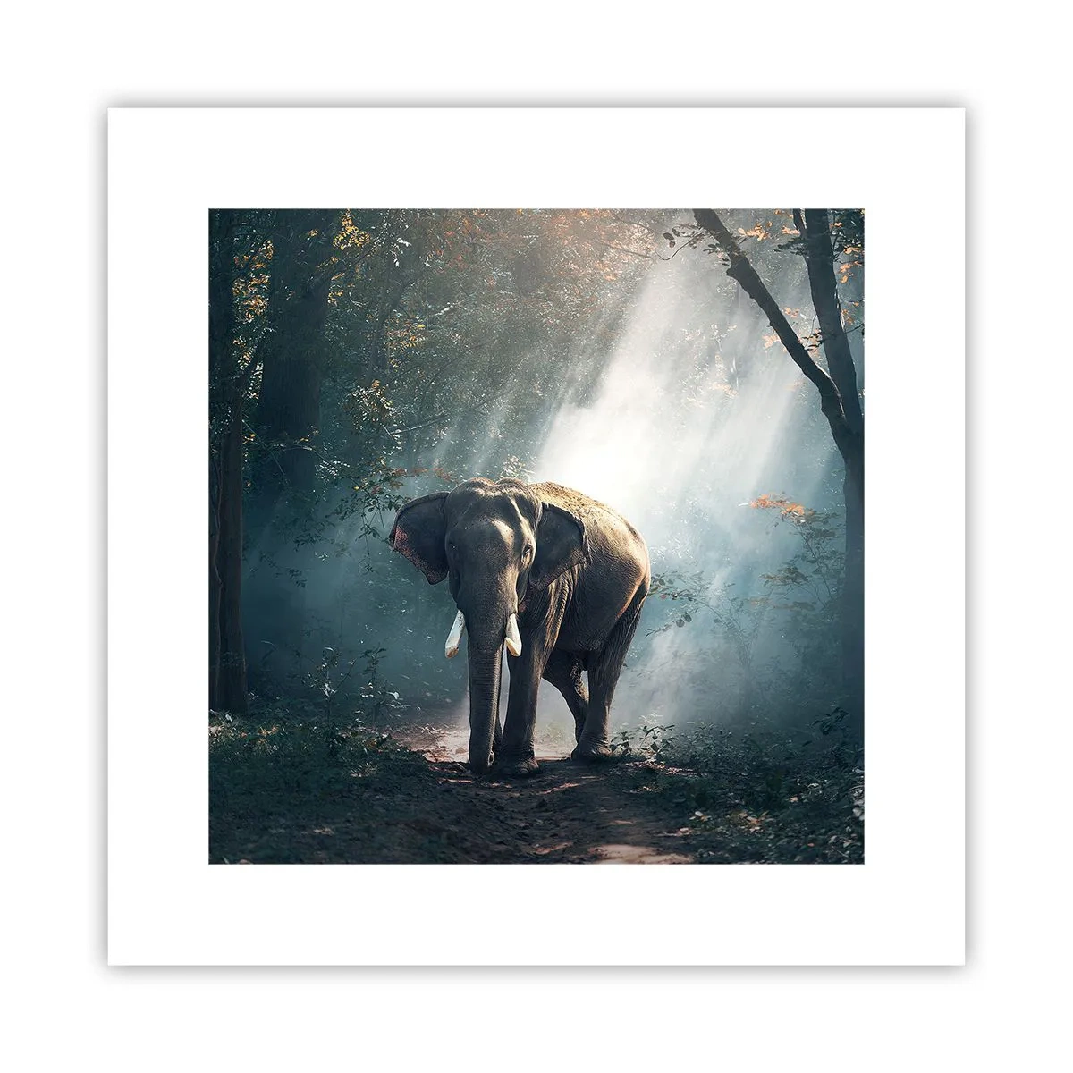 Plakat - Spokojna przechadzka - 30x30 cm