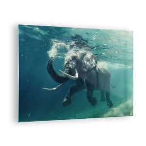 Obraz na szkle - Słoń pływający pod wodą w błękitnym oceanie - 70x50cm - Wszyscy lubią pływać - Nowoczesna dekoracja ścienna do salonu i sypialni ARTTOR