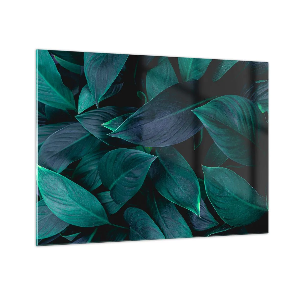Obraz na szkle - Gęste zielone liście na ciemnym tle - 70x50cm - Zieleń sama w sobie - Nowoczesna dekoracja ścienna do salonu i sypialni ARTTOR