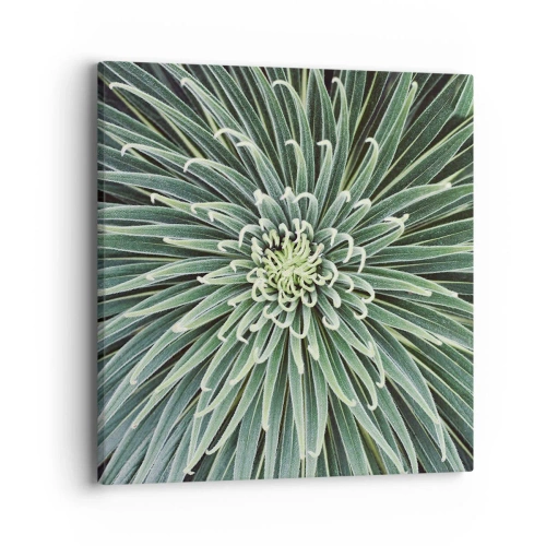 Obraz na płótnie - Narodziny gwiazdy - 40x40 cm