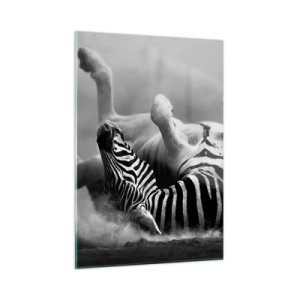 Obraz na szkle - Zebra w leżącej pozie na afrykańskiej sawannie - 50x70cm - Nie tylko koń by się uśmiał - Nowoczesna dekoracja ścienna do salonu, kuchni i sypialni ARTTOR