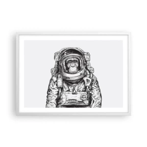 Plakat w białej ramie - Alternatywna ewolucja - 70x50 cm