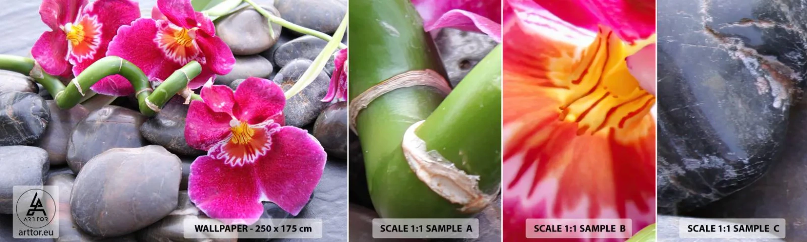 Fototapeta Próbka Standard Eco - Chłód i żar - Kwiaty, Kamienie, Storczyk - 100x30 cm