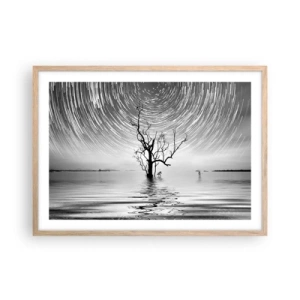 Plakat w ramie jasny dąb - Symfonia natury - 70x50 cm