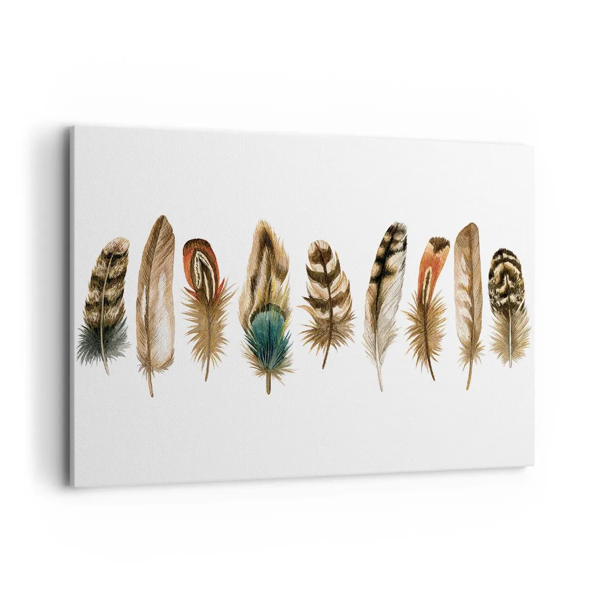 Obraz na płótnie - Dekoracyjny motyw kolekcji różnorodnych piór - 100x70cm - Pierzasta wariacja - Nowoczesna dekoracja ścienna do salonu, kuchni i sypialni ARTTOR