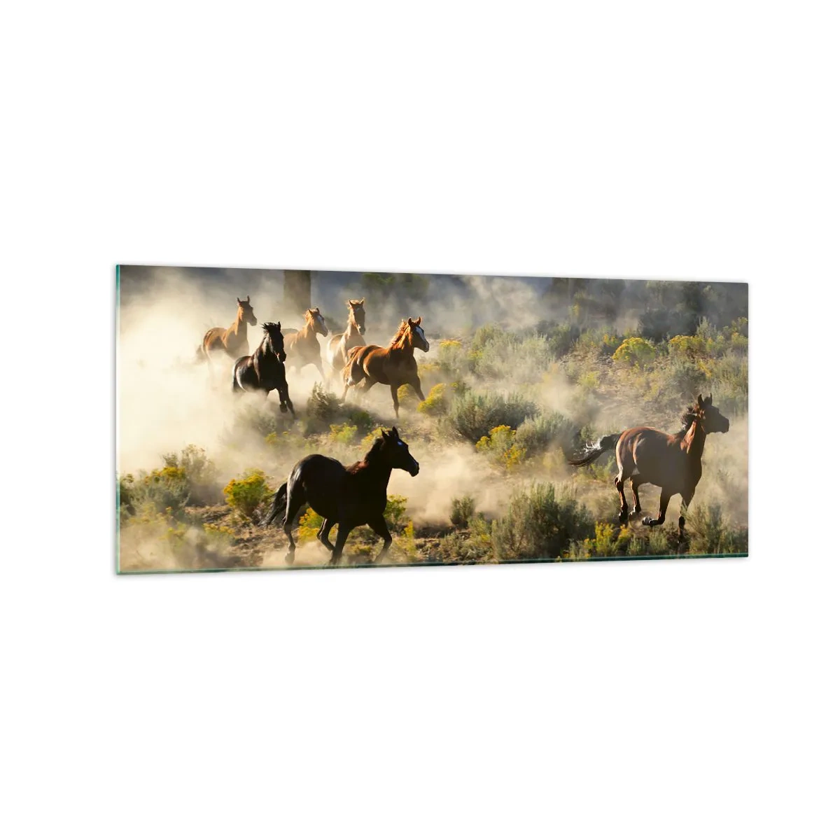 Obraz na szkle - Stado dzikich koni galopujących przez kurz i roślinność - 120x50cm - Rywalizacja - wolność czy męska siła? - Nowoczesna dekoracja ścienna do salonu i sypialni ARTTOR