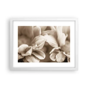 Plakat w białej ramie - Łagodne jak uśmiech - 40x30 cm