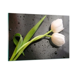 Obraz na szkle - Białe tulipany na tle z kroplami wody - 120x80cm - Wiosenny splot - Nowoczesna dekoracja ścienna do salonu, kuchni i sypialni ARTTOR