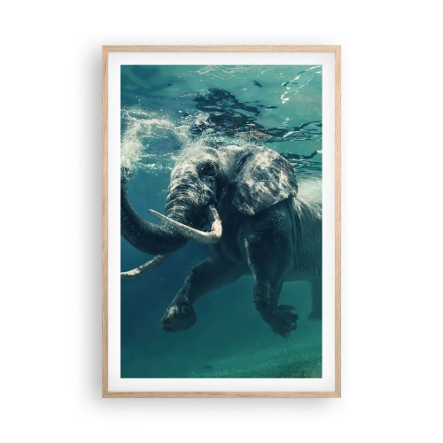 Plakat w ramie jasny dąb - Wszyscy lubią pływać - 61x91 cm